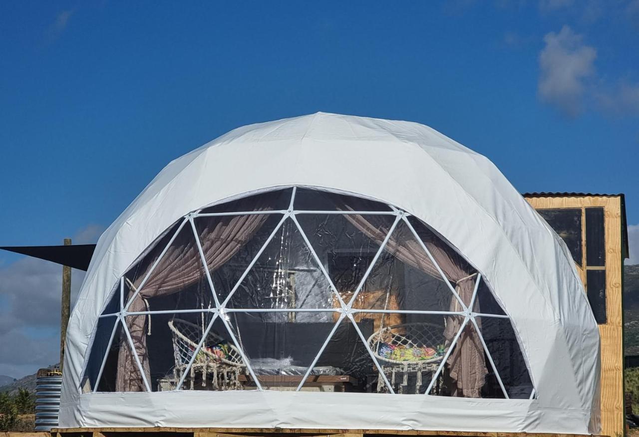 ホテル Pom Gratz - Ecodomes Hartebeesrivier エクステリア 写真