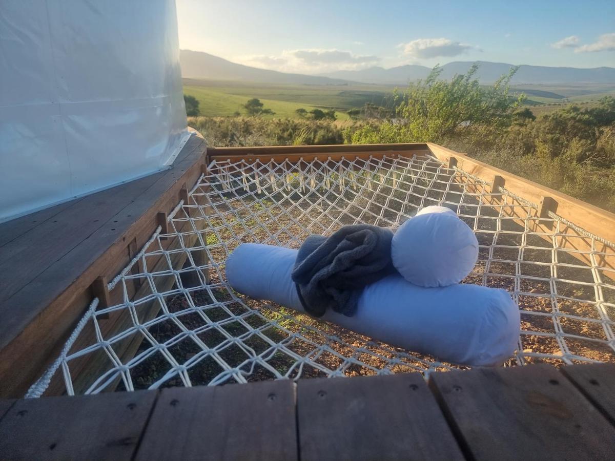 ホテル Pom Gratz - Ecodomes Hartebeesrivier エクステリア 写真