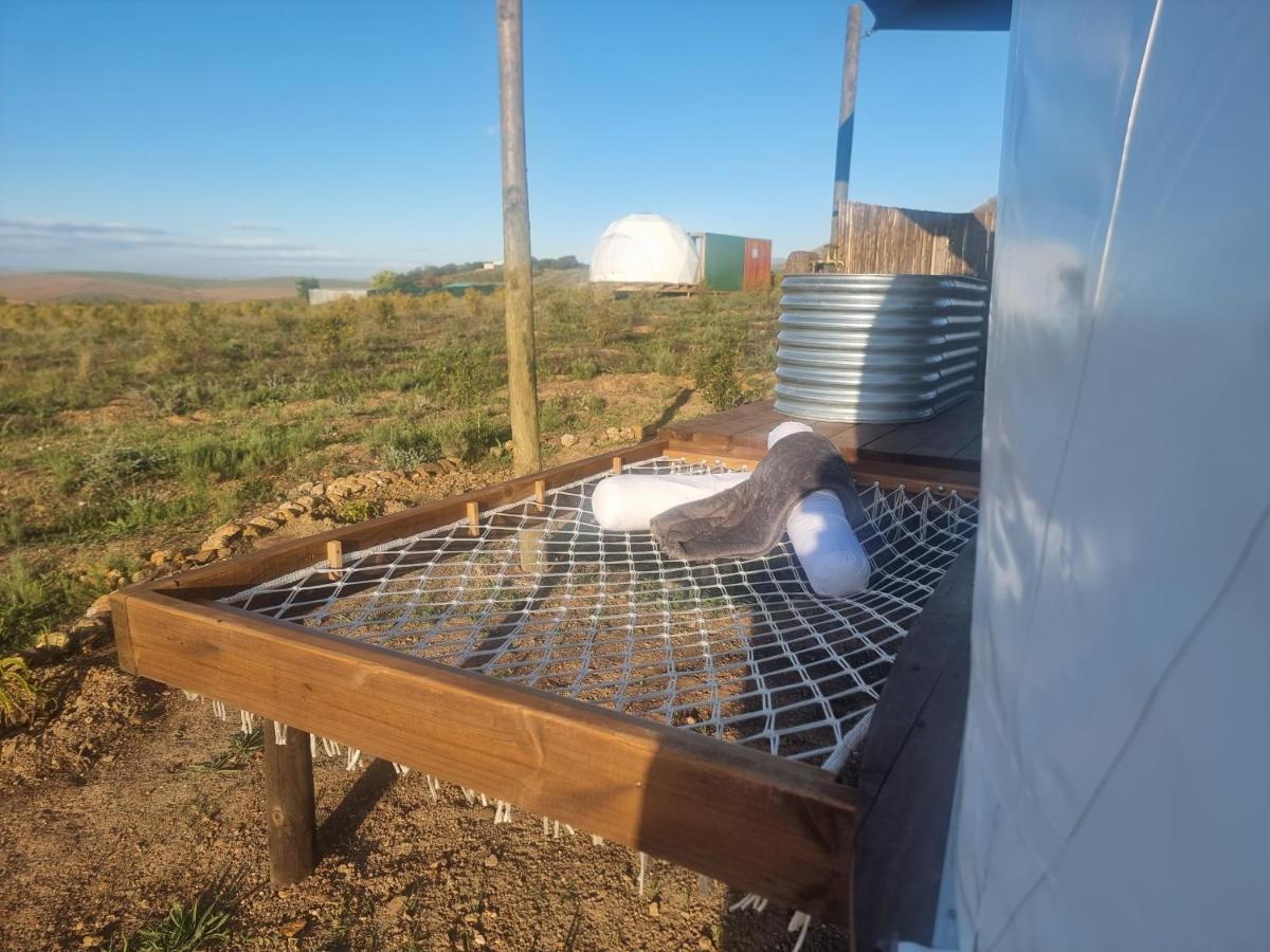 ホテル Pom Gratz - Ecodomes Hartebeesrivier エクステリア 写真