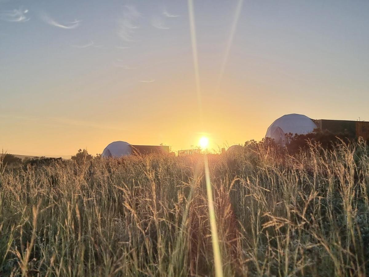 ホテル Pom Gratz - Ecodomes Hartebeesrivier エクステリア 写真