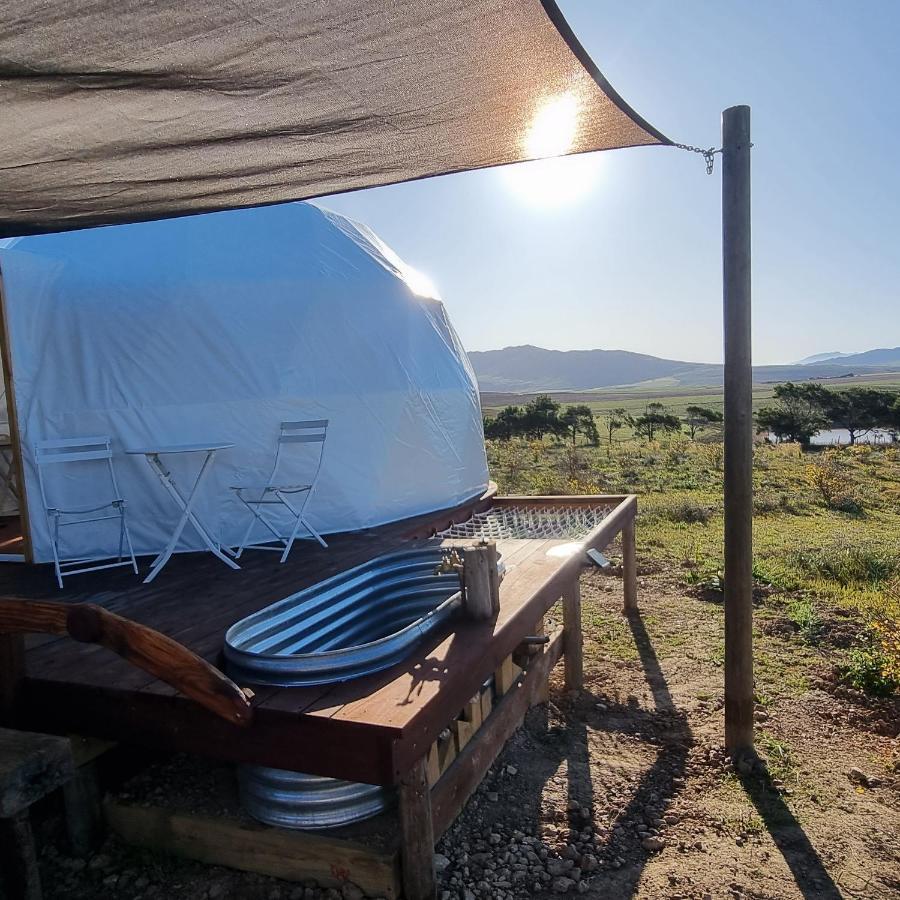 ホテル Pom Gratz - Ecodomes Hartebeesrivier エクステリア 写真
