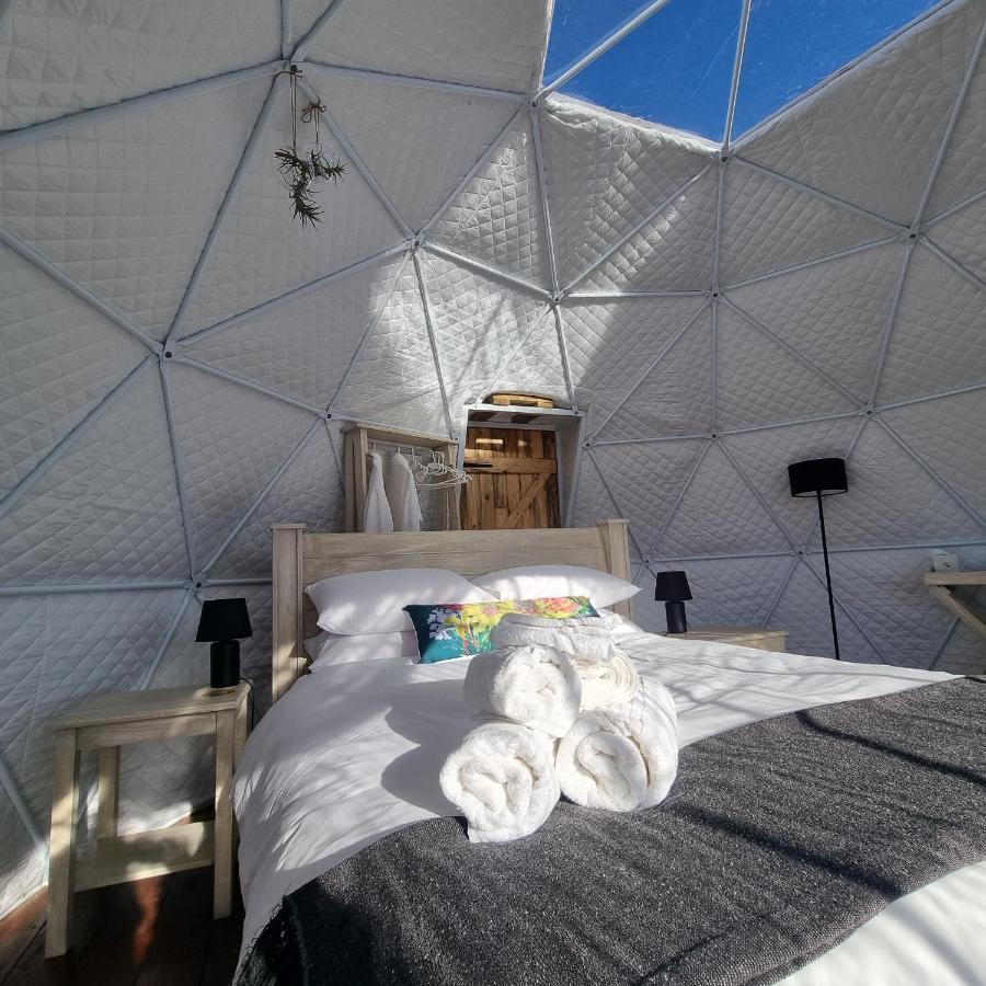 ホテル Pom Gratz - Ecodomes Hartebeesrivier エクステリア 写真